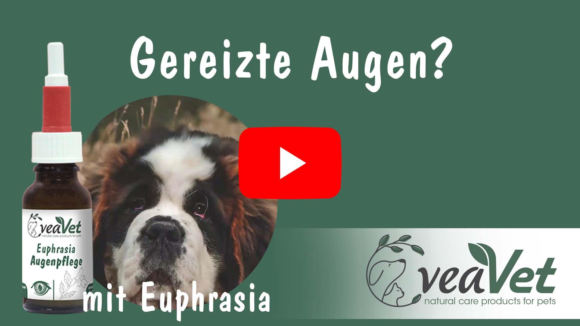 VeaVet Euphrasia Augenpflege für Hunde und Katzen