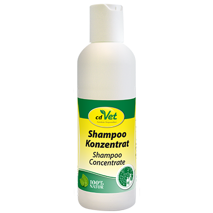 Shampoo Konzentrat