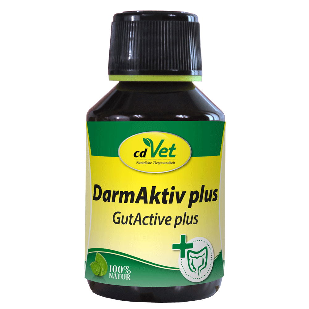 DarmAktiv plus 100 ml