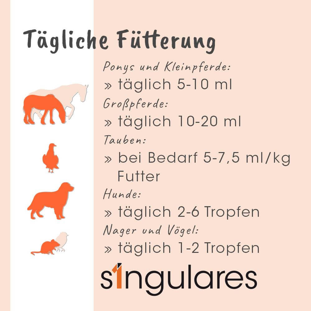 Singulares Ägyptisches Schwarzkümmelöl 500 ml