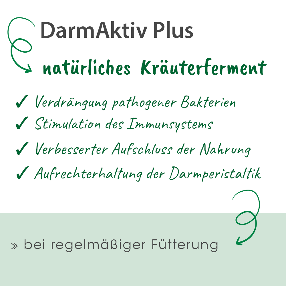 DarmAktiv plus 100 ml