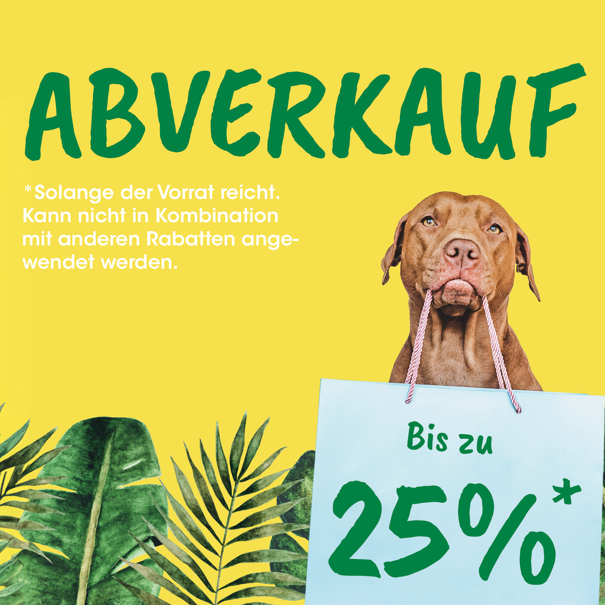 Werbung, Plakat, Hund, Haustier, Text