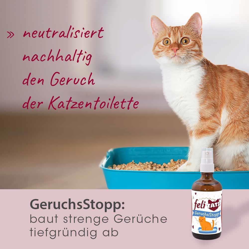 feliTATZ GeruchsStopp 100 ml