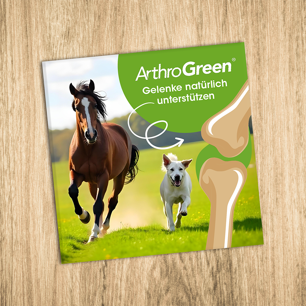 Werbung, Plakat, Hund, Haustier, Pferd