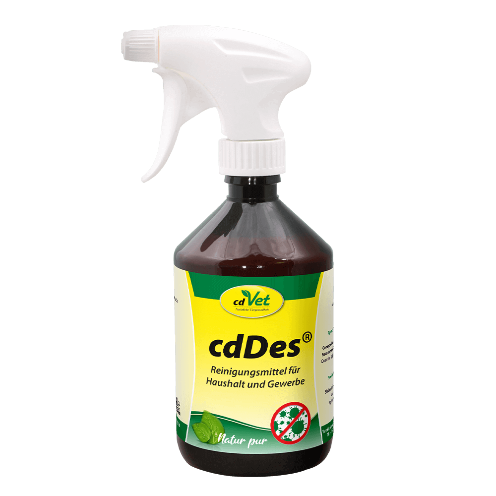 cdDes 500 ml mit Sprühkopf