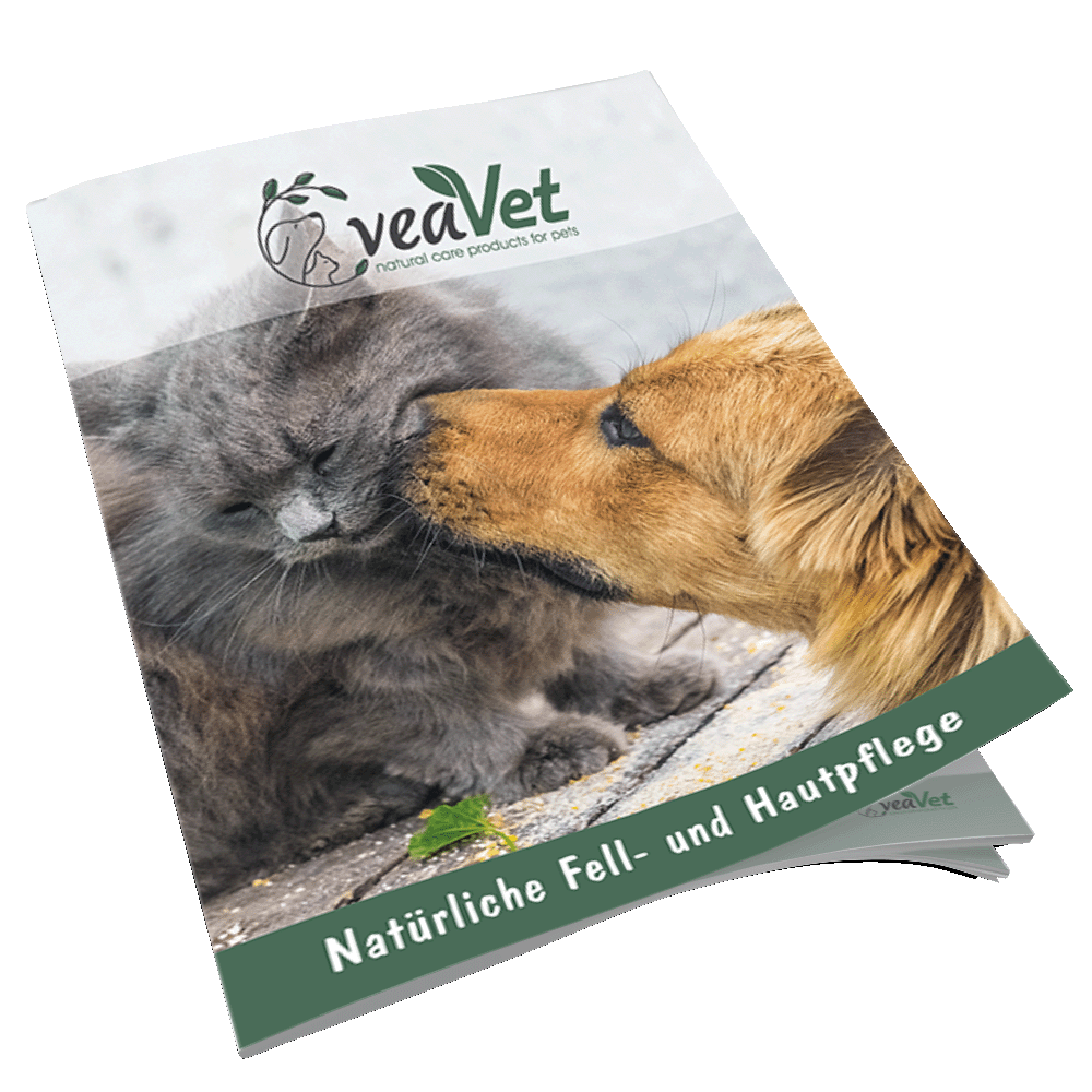 VeaVet Flyer A5