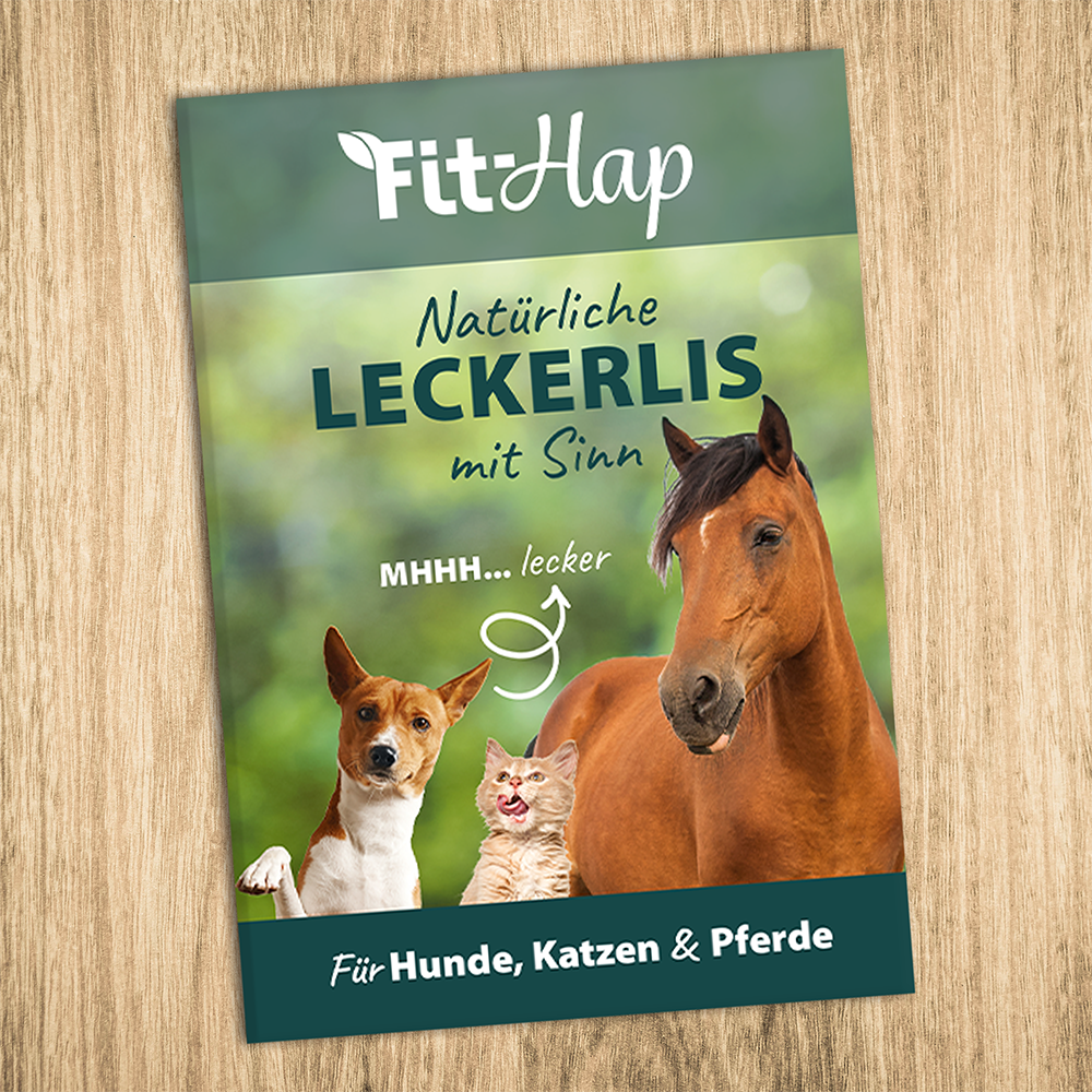 Werbung, Plakat, Hund, Pferd, Katze