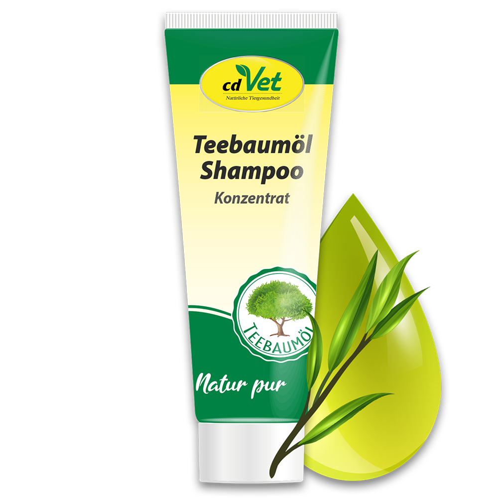 Teebaumöl Shampoo