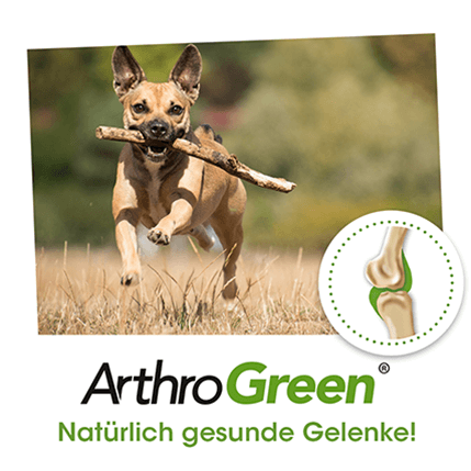 ArthroGreen Classic 70 g