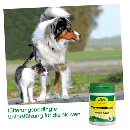 Nervennahrung 40 g