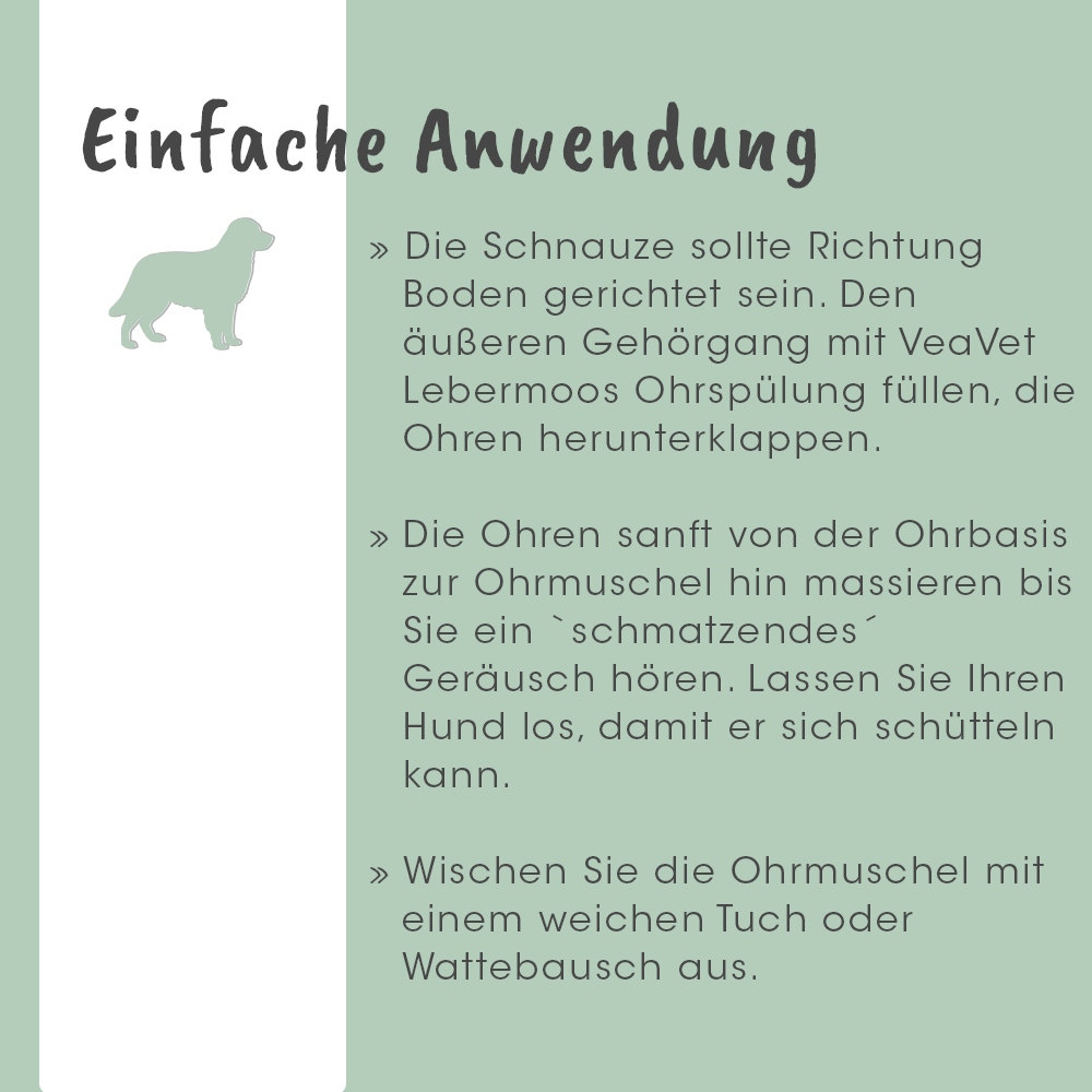 Werbung, Plakat, Hund, Säugetier, Haustier