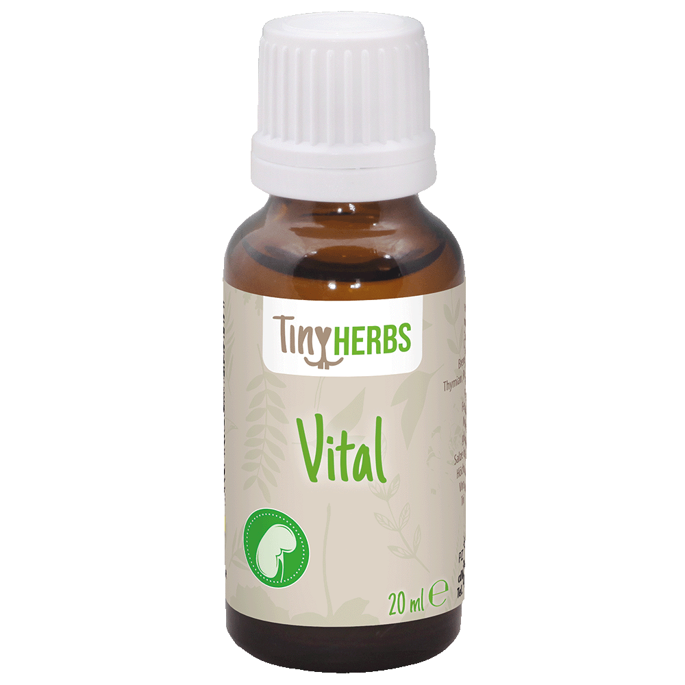 RodentVital 20 ml