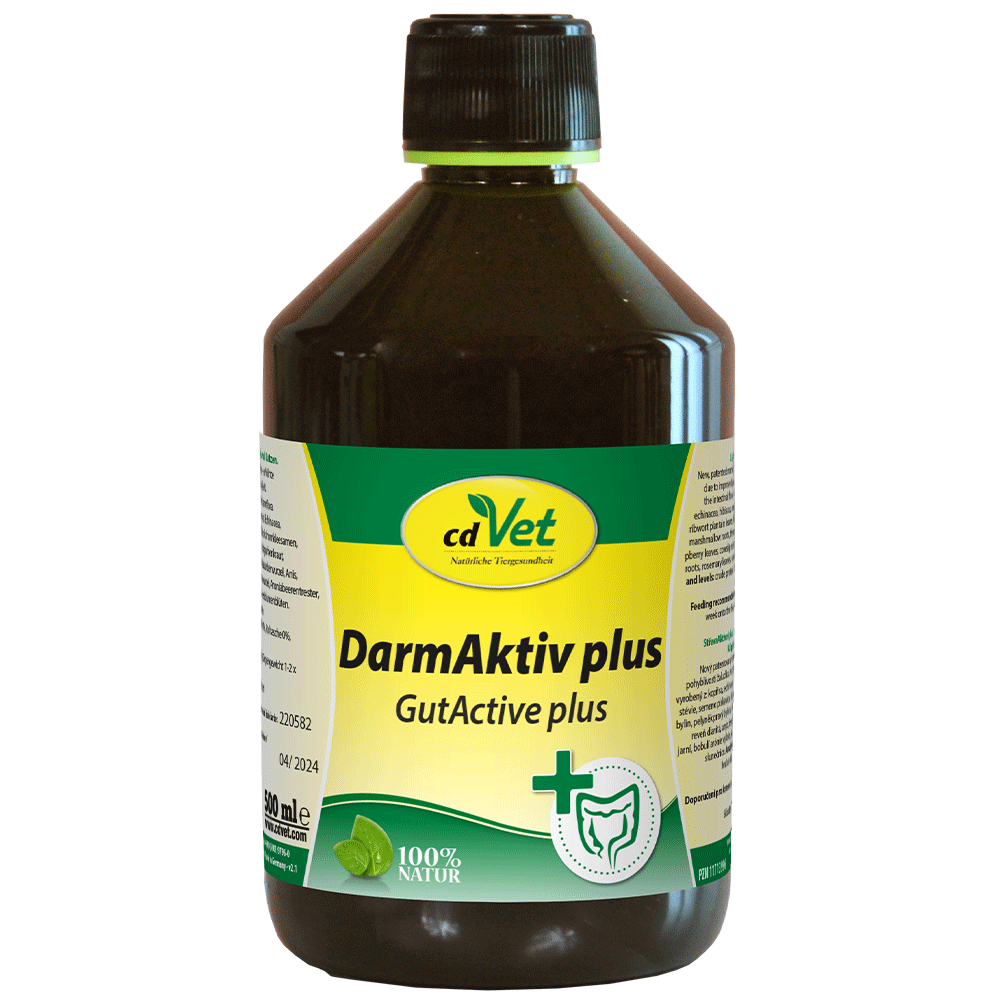 DarmAktiv plus 500 ml