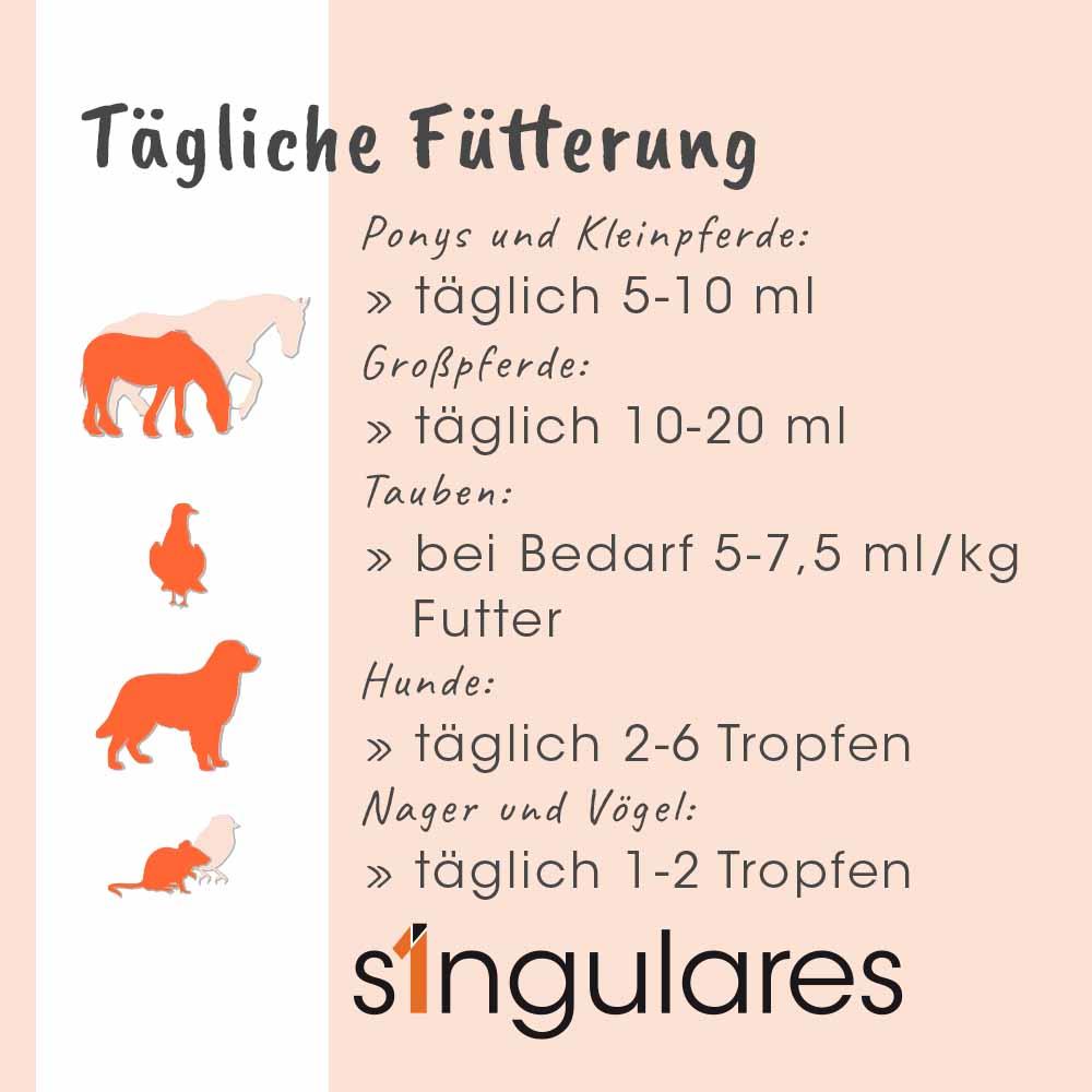 Singulares Ägyptisches Bio-Schwarzkümmelöl 100 ml