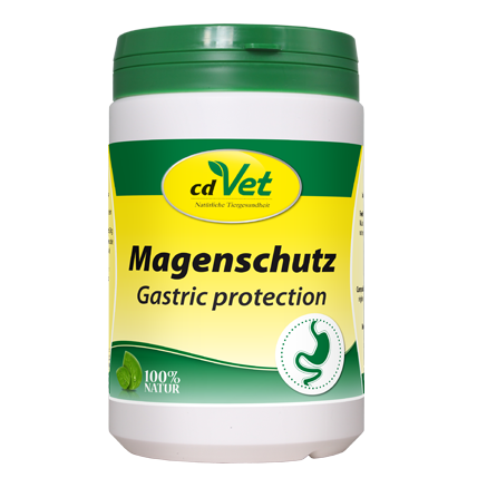 Magenschutz