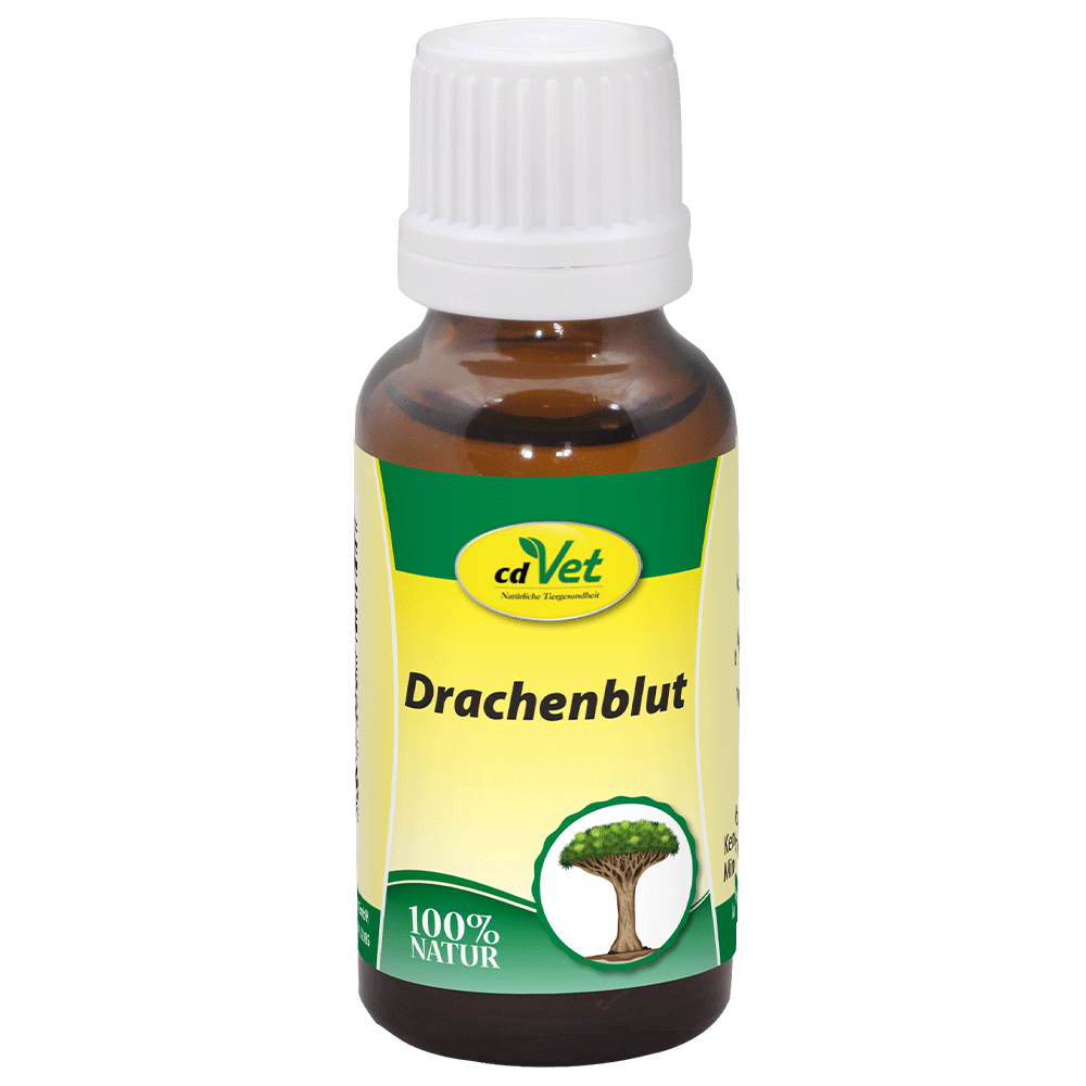 Drachenblut