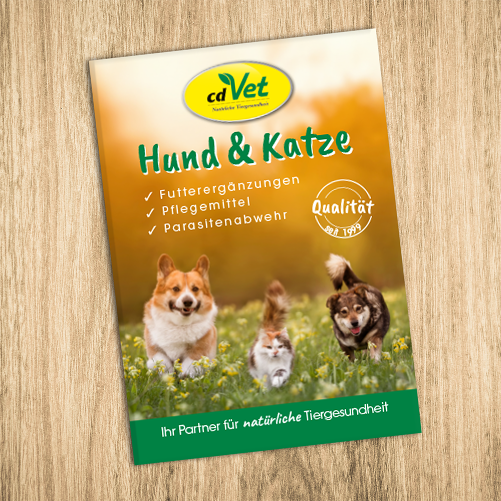 Werbung, Plakat, Hund, Haustier, Katze