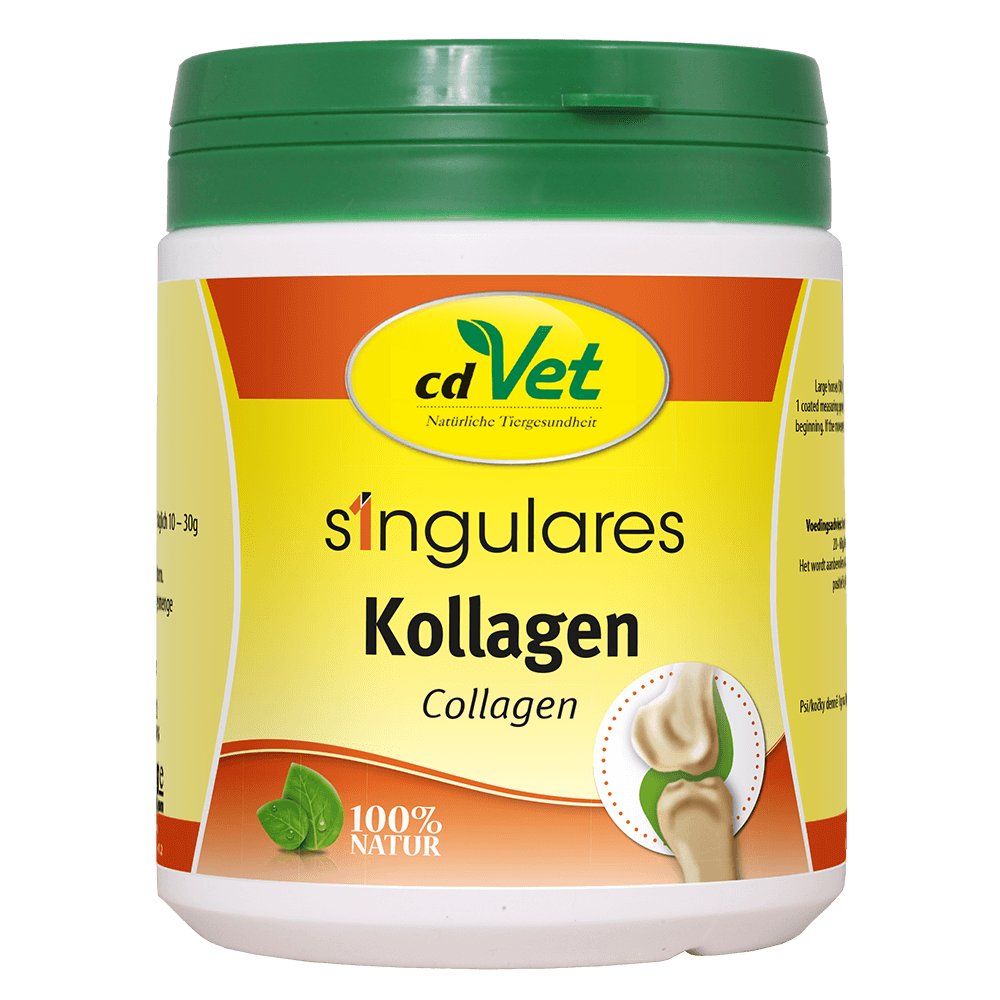 Singulares Kollagen 250 g