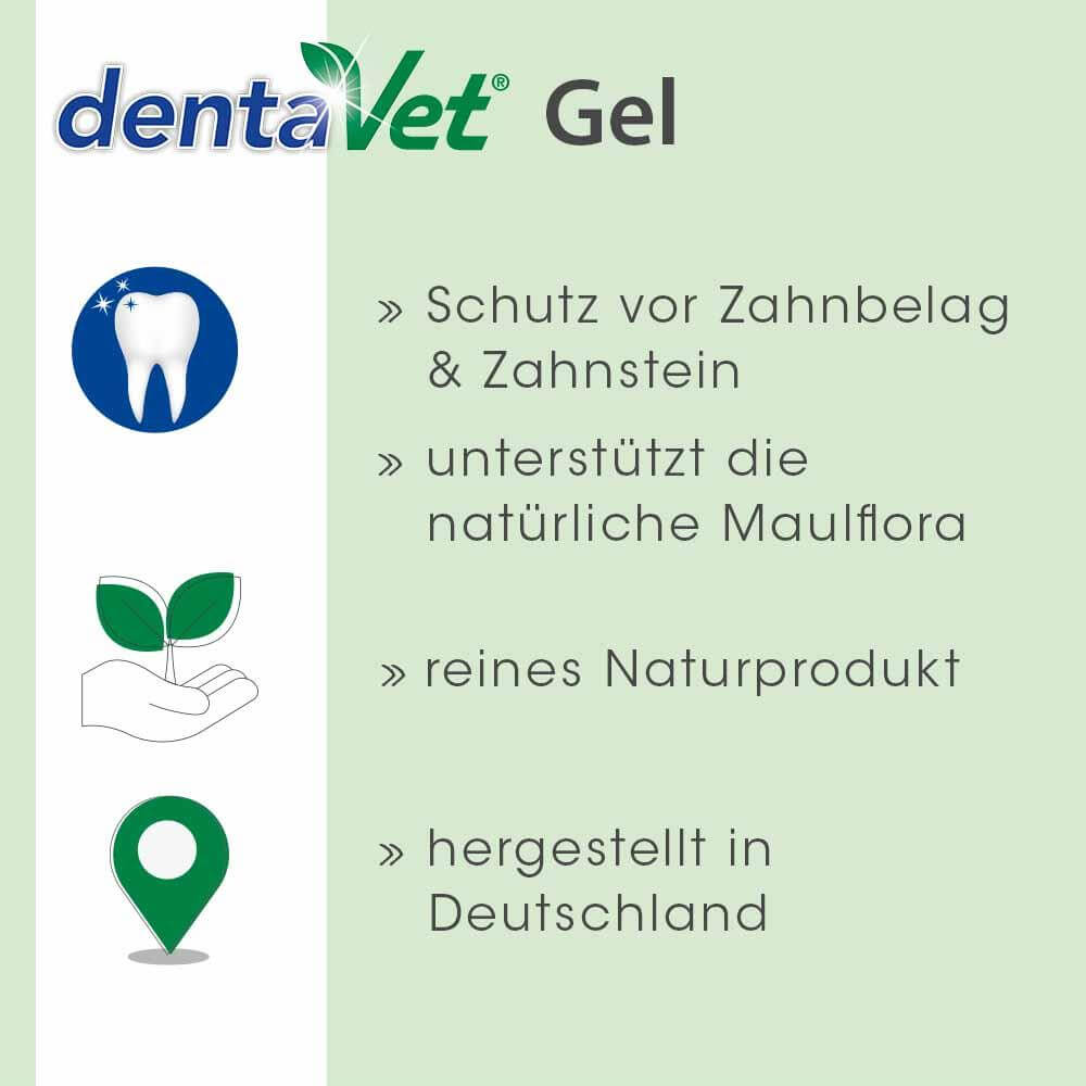 dentaVet Gel 35 g