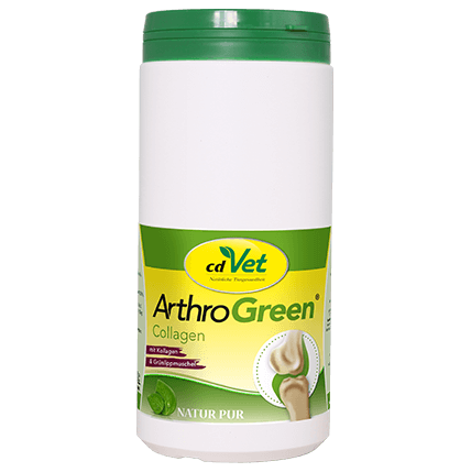 ArthroGreen Collagen 600 g