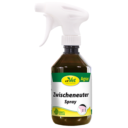 Zwischeneuter Spray 250ml