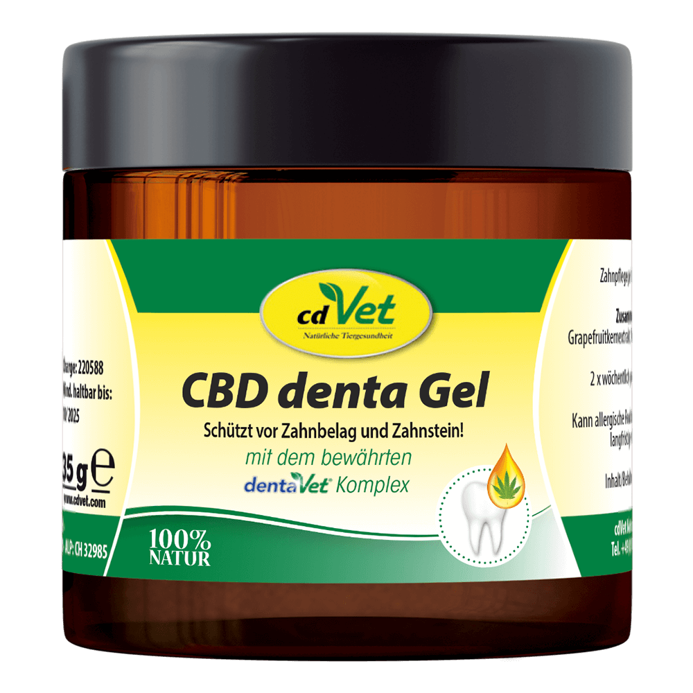 CBD denta Gel