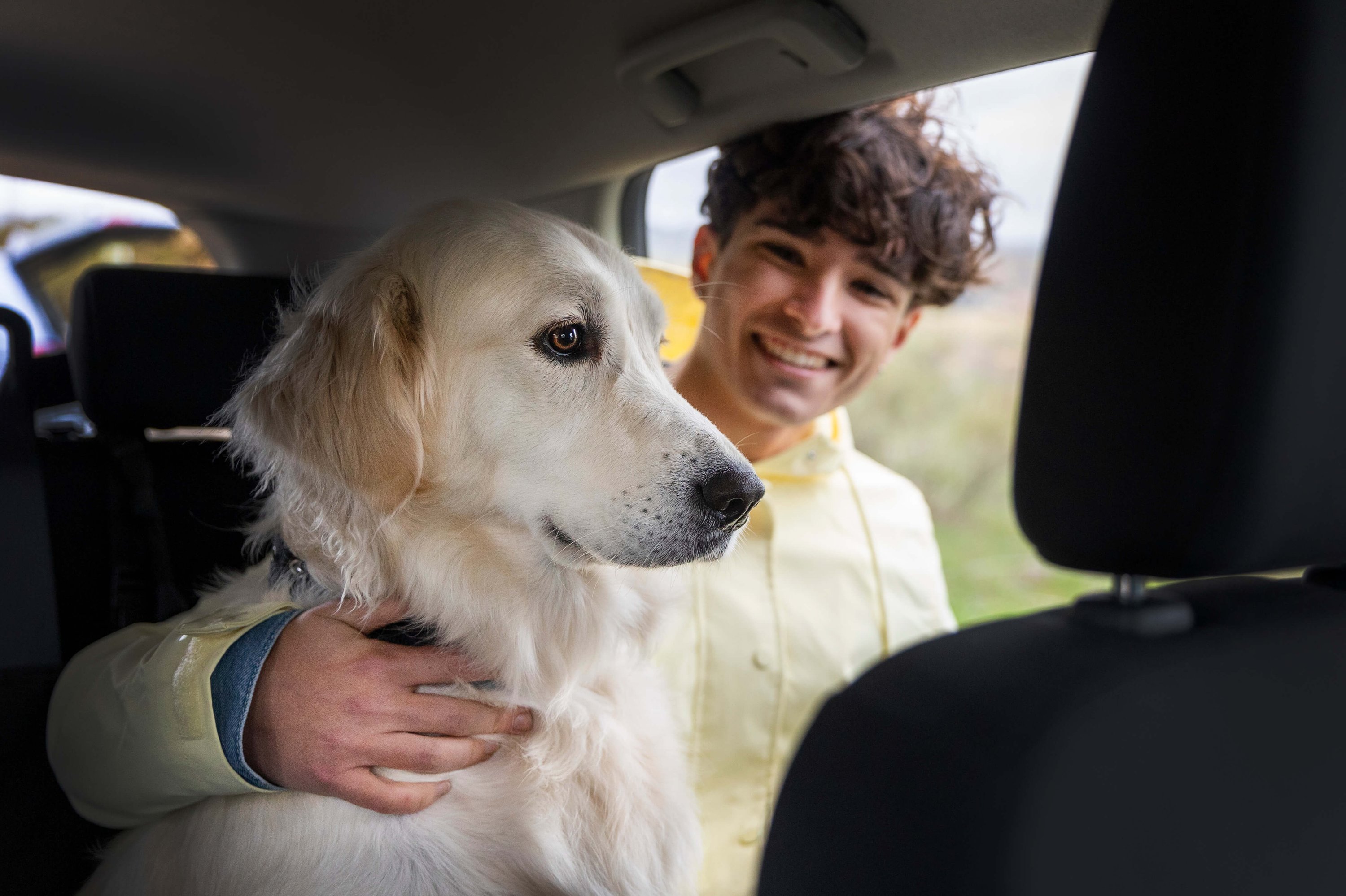 Kissen, Dekoration für Zuhause, Hund, Haustier, Person