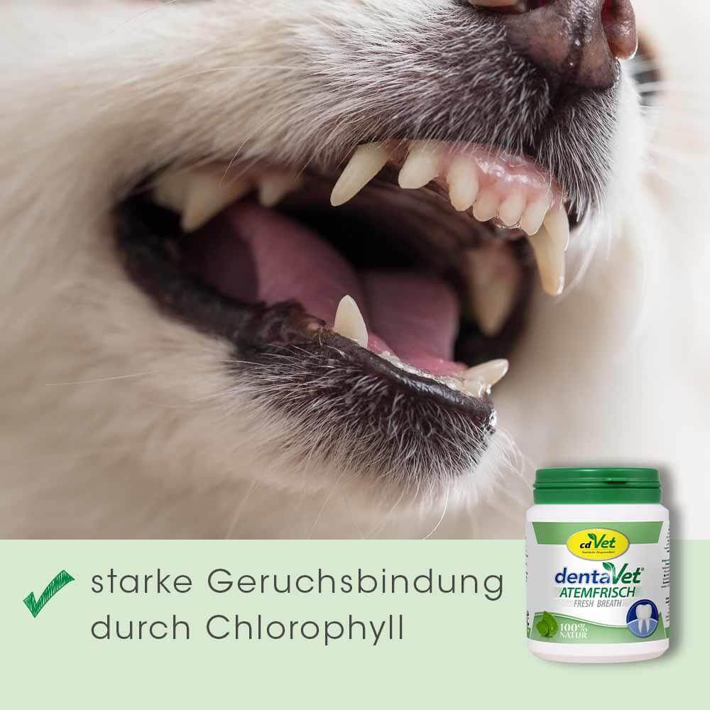 dentaVet Atemfrisch 40 g