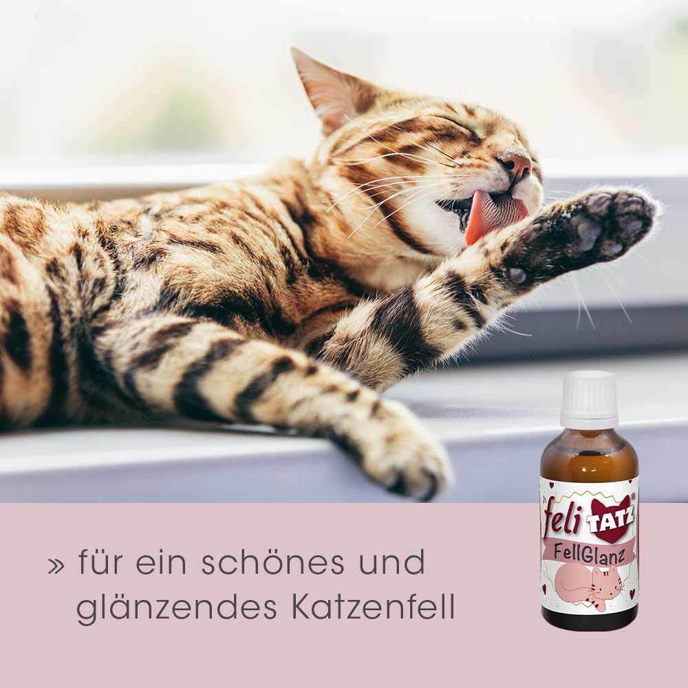 feliTATZ FellGlanz 50 ml