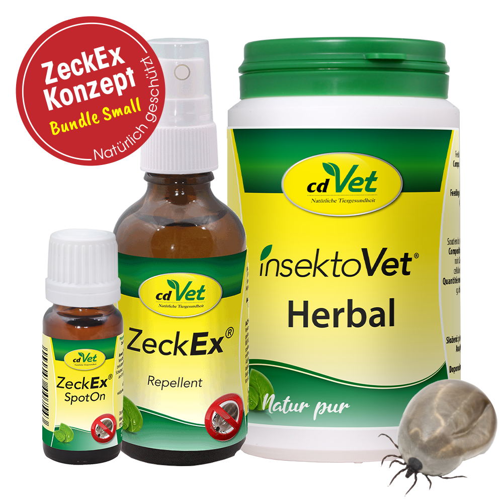 Bundle ZeckEx-Konzept Small