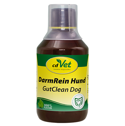 DarmRein Hund 250 ml