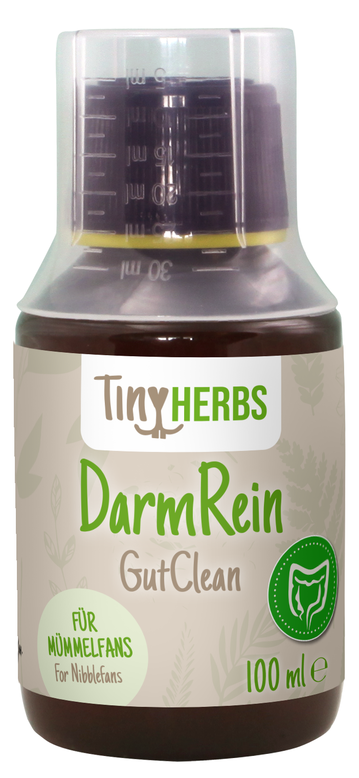 TinyHerbs DarmRein 100 ml