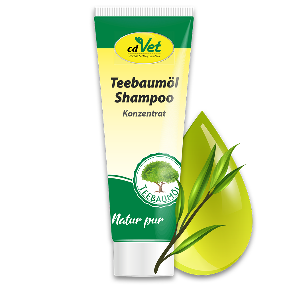 Teebaumöl Shampoo 25 ml