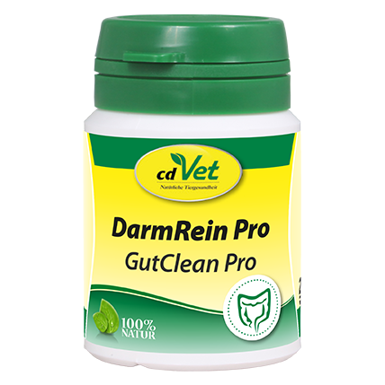 DarmRein Pro 20 g -Sorbe