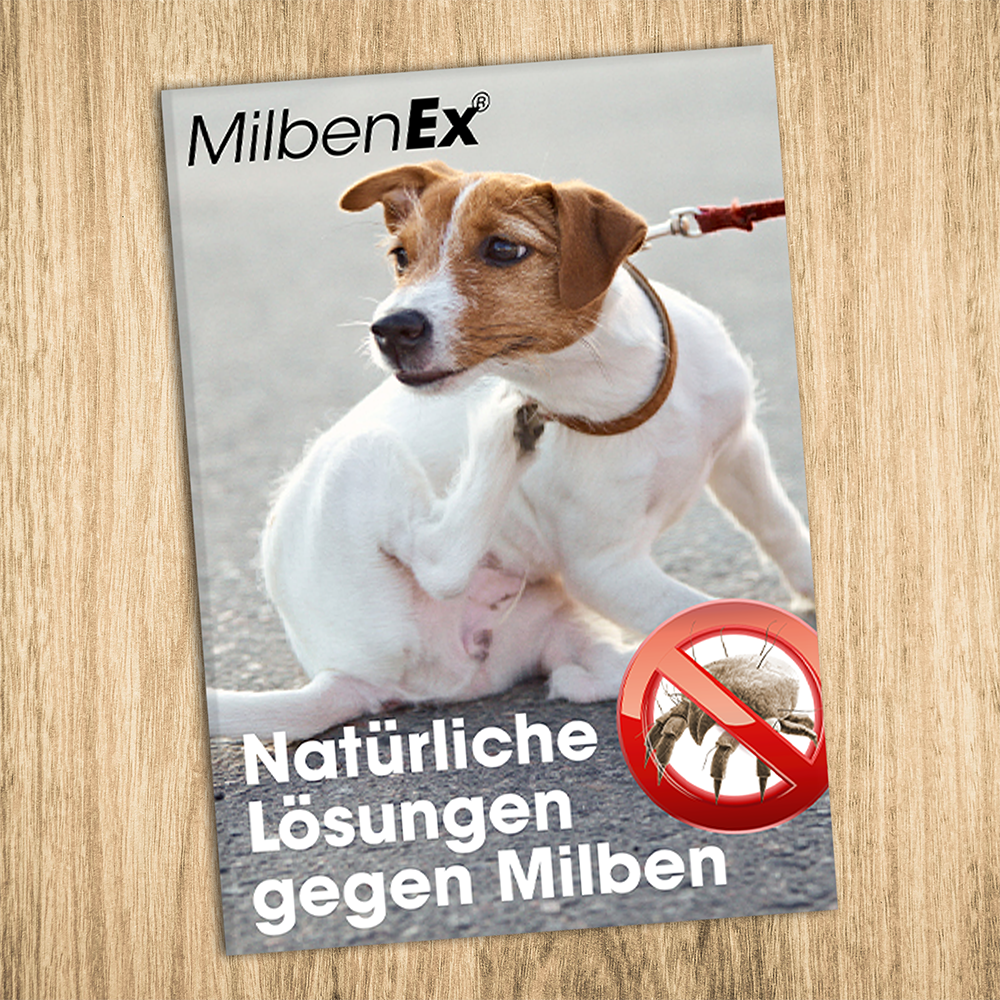 Zubehor, Riemen, Werbung, Plakat, Hund