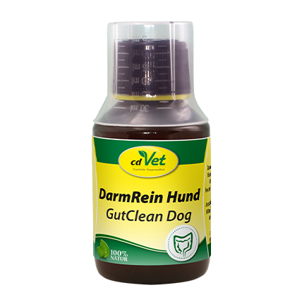 DarmRein Hund 100 ml