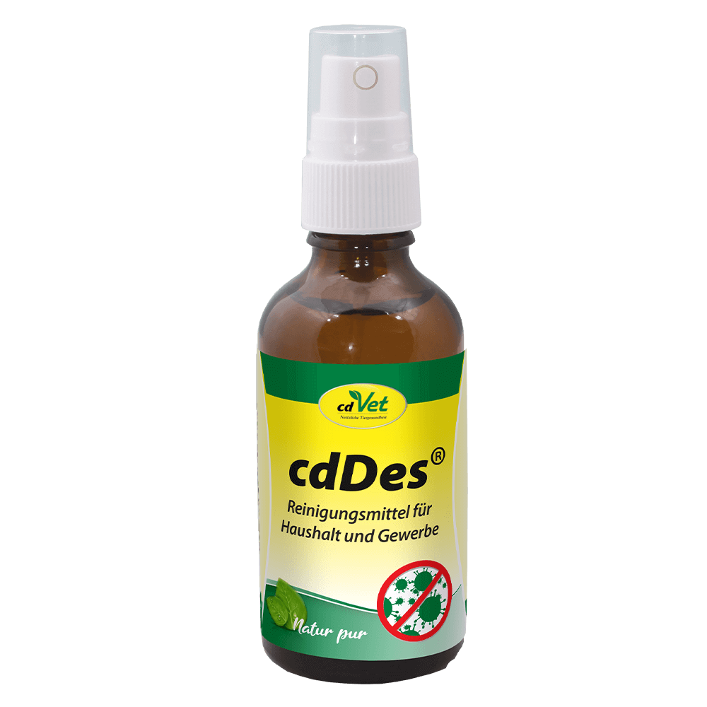 cdDes 50 ml mit Sprühkopf