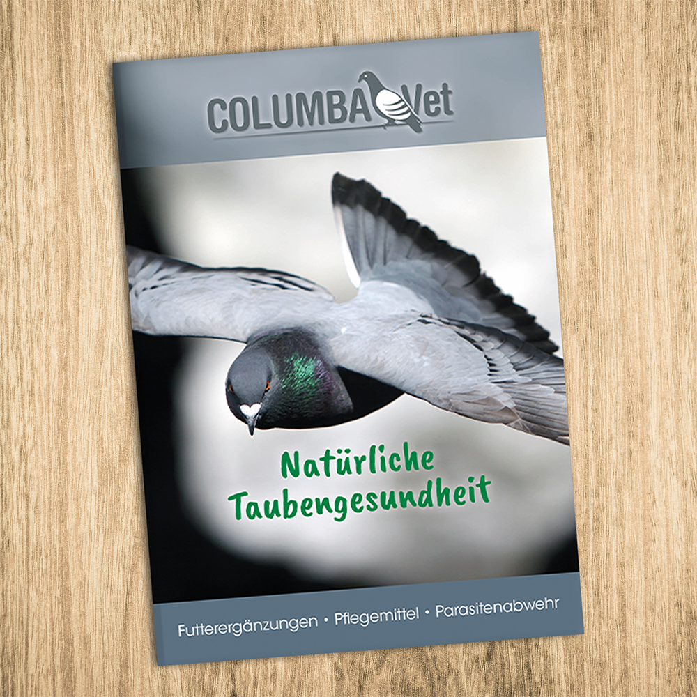 Werbung, Plakat, Tier, Vogel