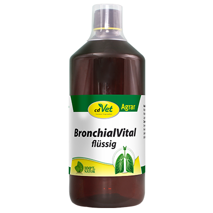 BronchialVital flüssig 1 Liter