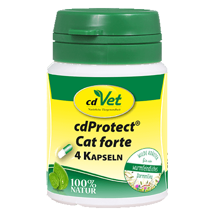 cdProtect Cat forte