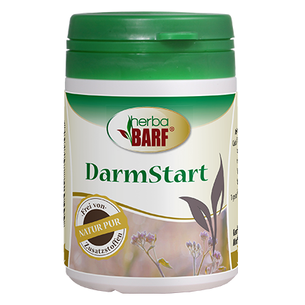 herbaBARF DarmStart 40 g