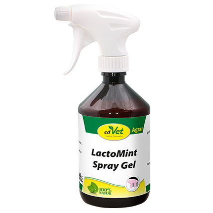 LactoMint Spray Gel 500 ml -Sorbe-