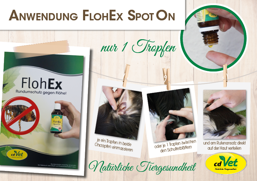 FlohEx SpotOn