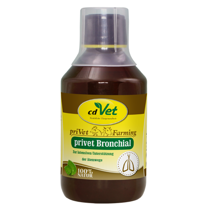 privet Bronchial 250ml