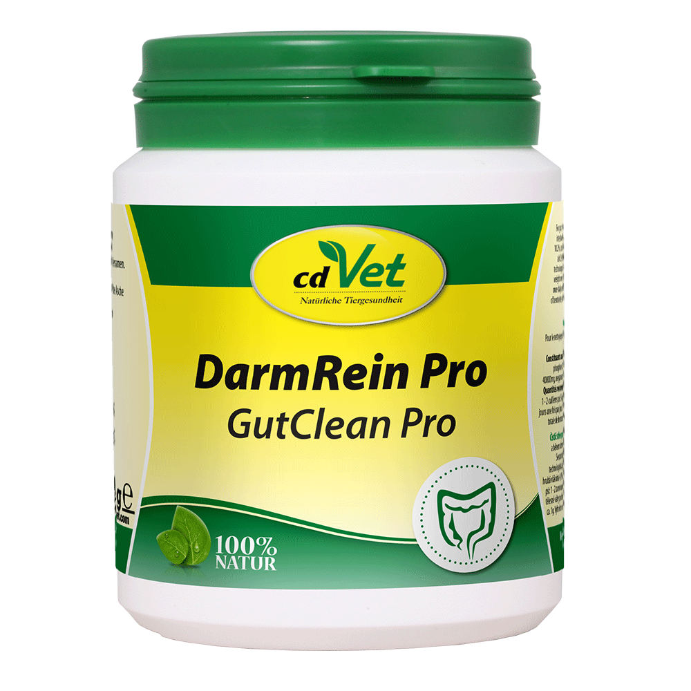 DarmRein Pro 100 g