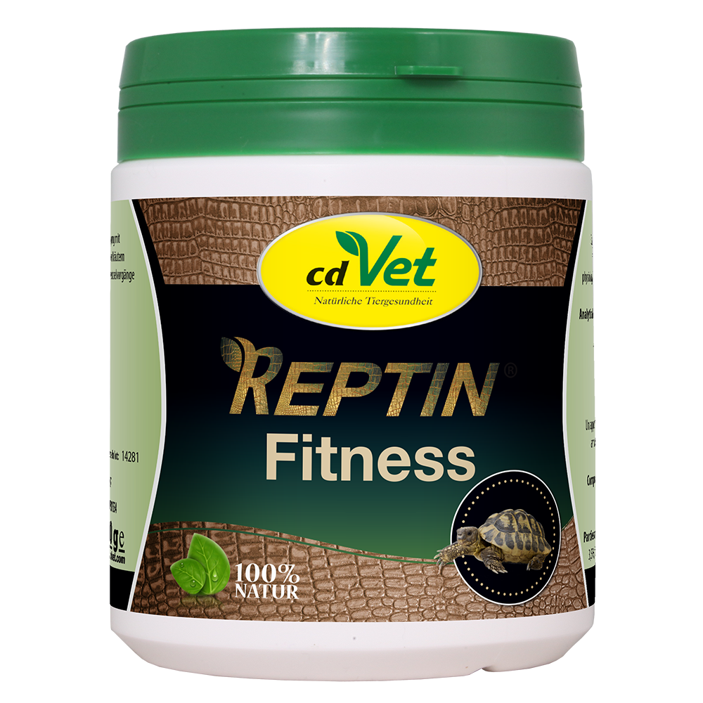 REPTIN Fitness 100 g