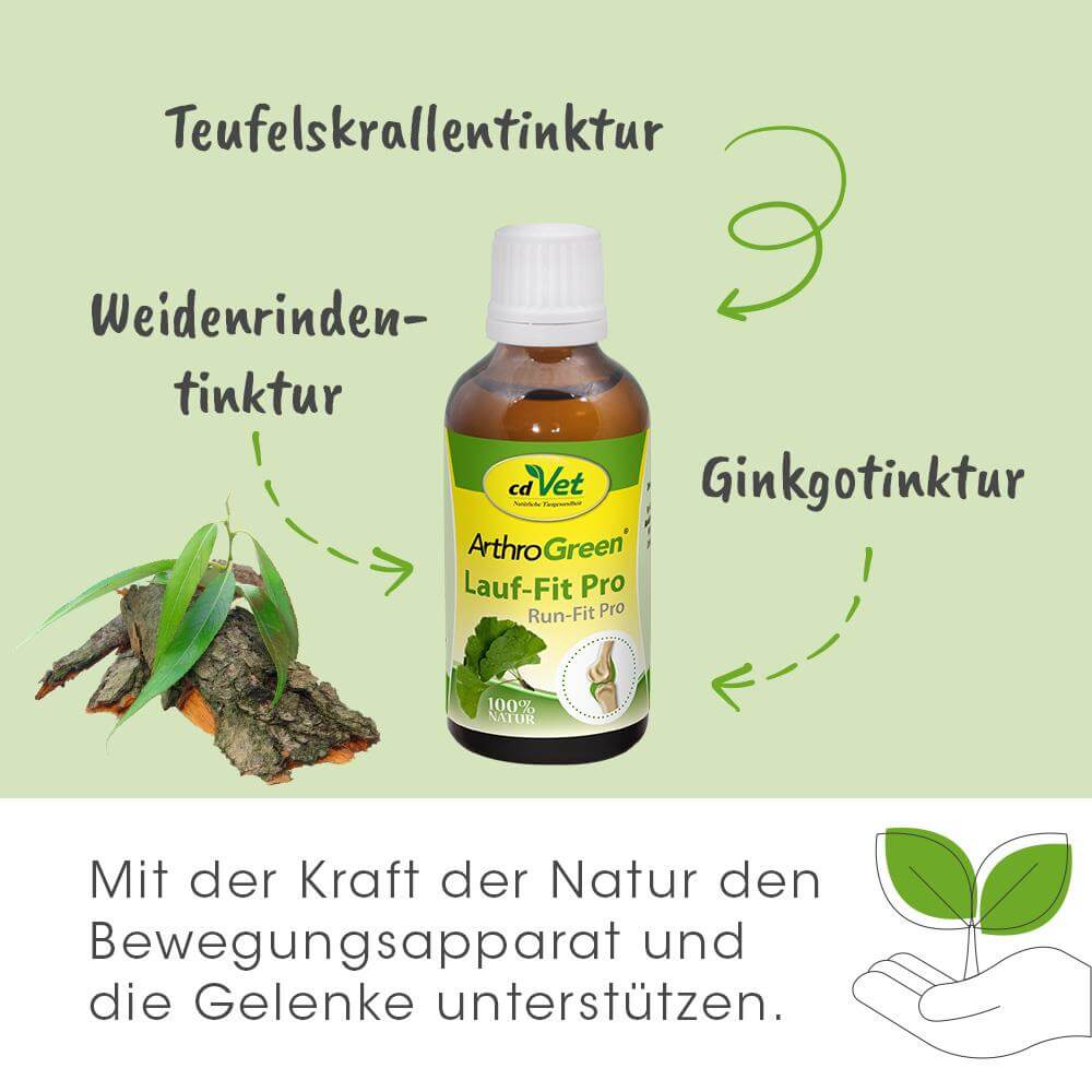 ArthroGreen Lauf-Fit Pro 100 ml