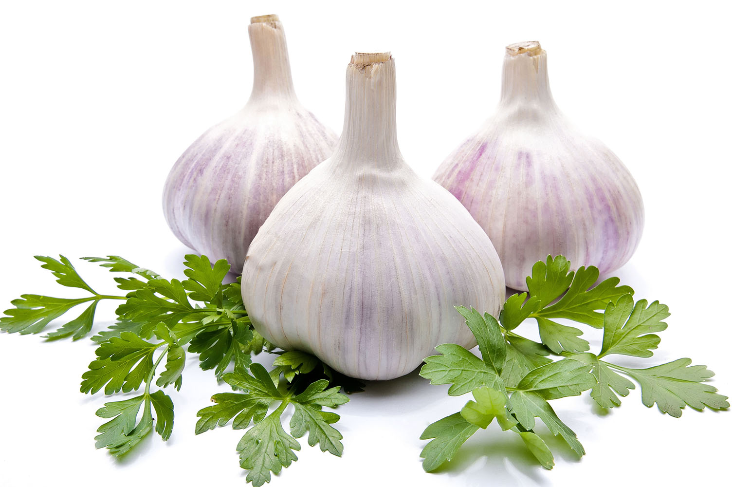 Knoblauch