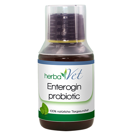 herbaVet Enterogin probiotic 100 ml