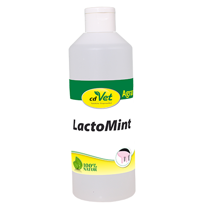 LactoMint 500 g -Sorbe-